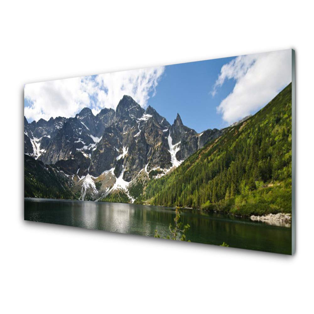 Tableau mural moderne de luxe - Impression sur verre acrylique Tulup 100x50cm