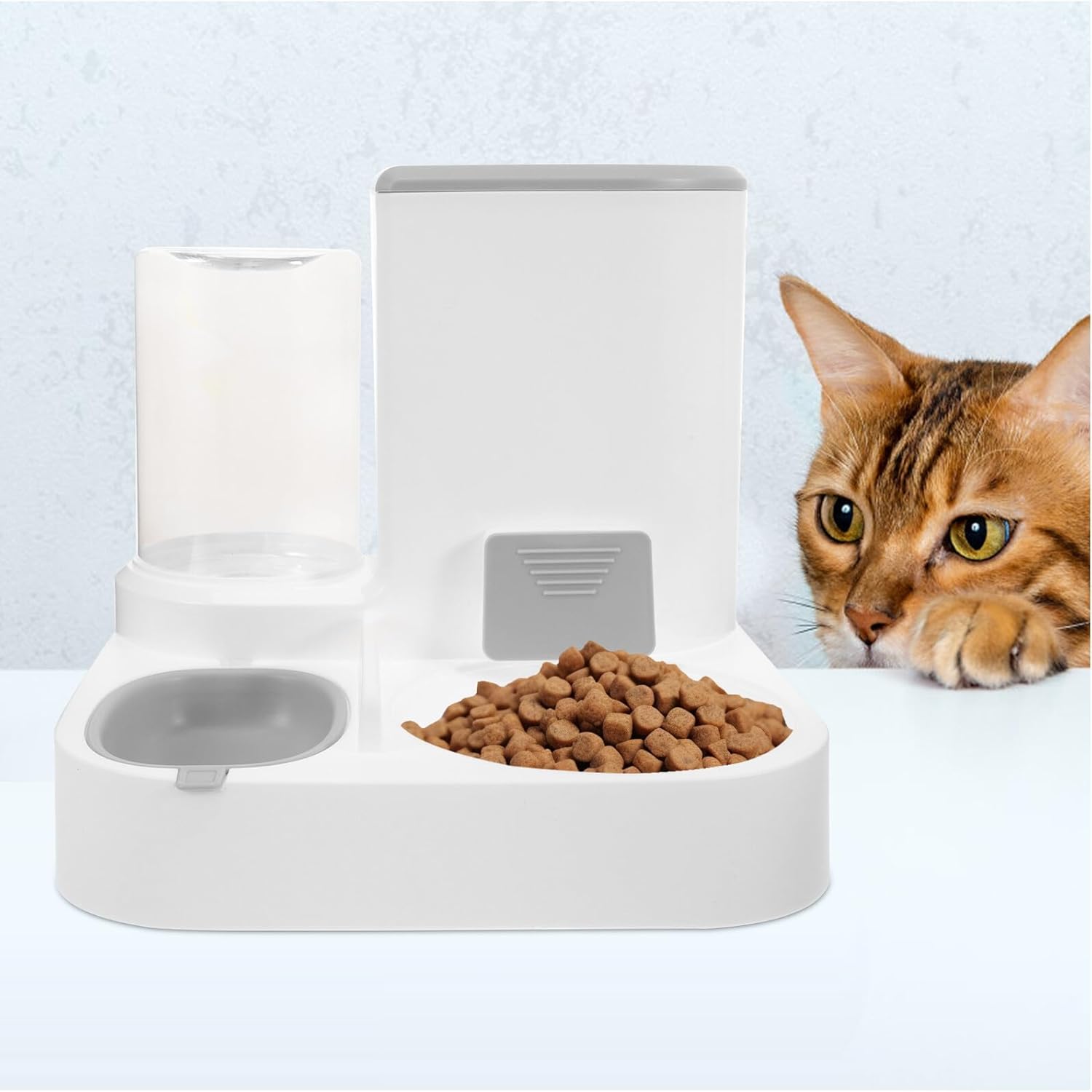 DOITOOL Automatic Pet Feeder and Water Bowl, Large Capacity Dry and Wet Food Separation, Detachable Cat and Small Dog Feeder for Home Use, Gray