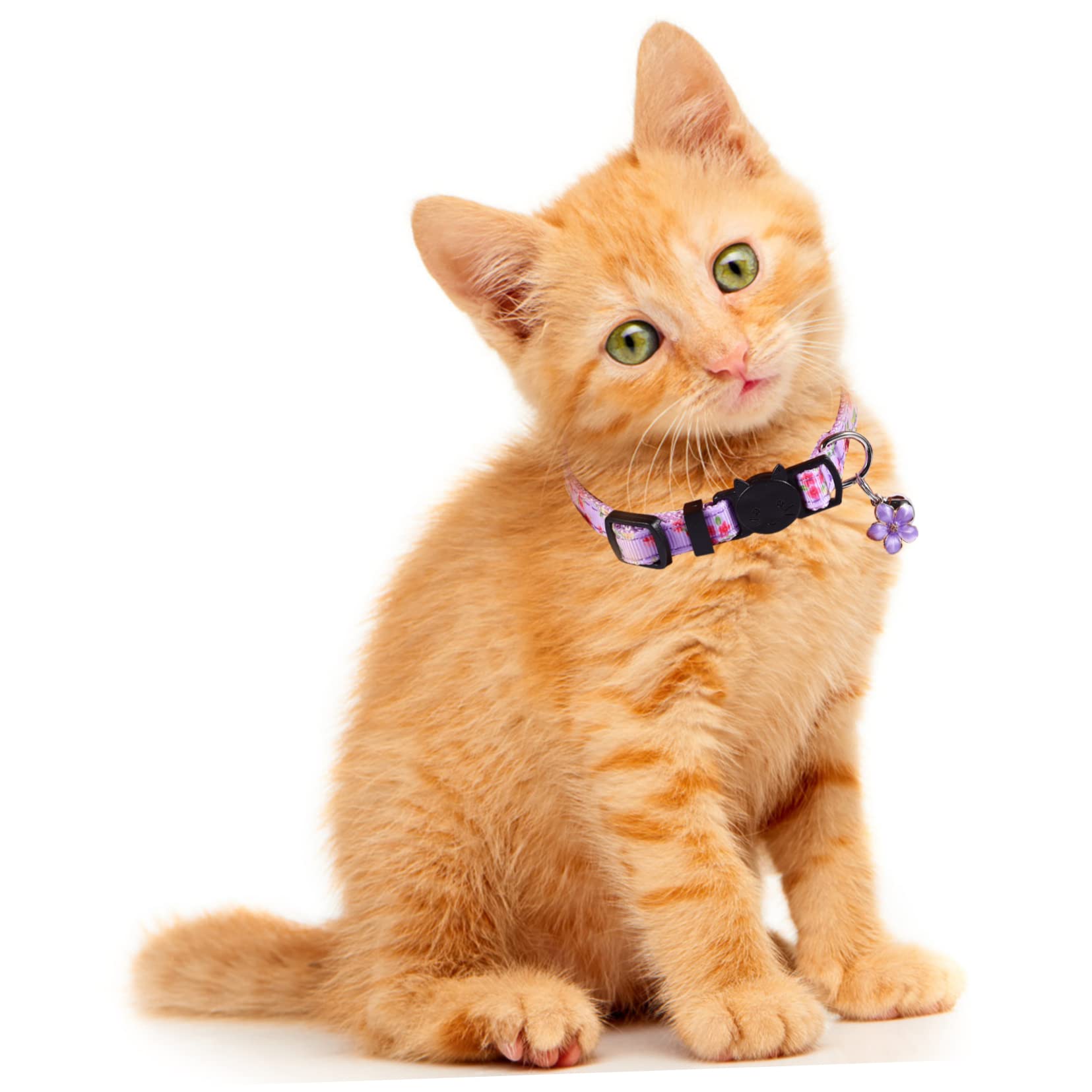 12 Pz collare per gatti decorazione di fiori collana per animali domestici collane collare di gatto fiore colletto con colletto di gatto piccolo floreale cintura per gatti nylon