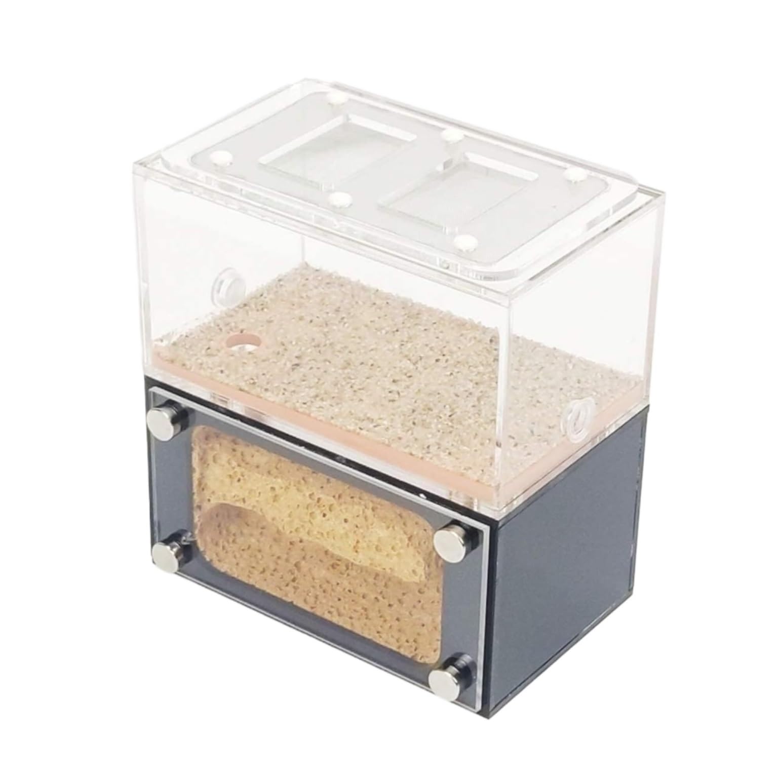 Hormiguero, Terrario de Hormigas con Zona alimentación, acrílico Transparente, 13 cm
