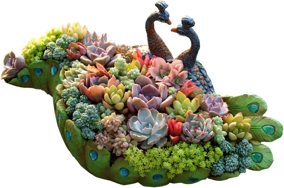 Peacock Succulent Pot Large Vintage Peacock Planter Flower Pot Unique Succulent Cactus Container Home and Garden Decorative Succulent Planter NO Plants