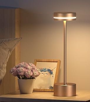 Amazon.co.jp : 【新登場・3色ライト＆無段階調光】間接照明