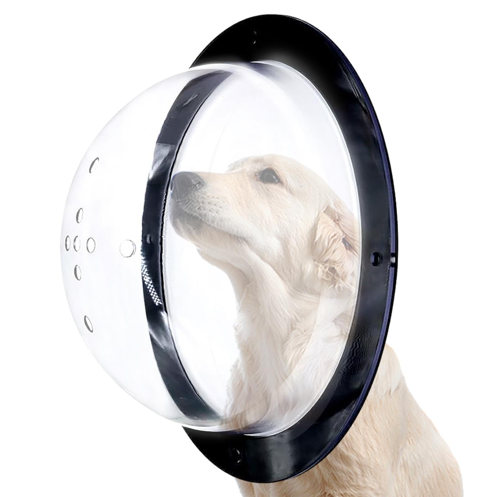 オーダー受付パネル♡ガラスドームの中のわんこ Amazon.co.jp: アクリルドーム, ットフェンス窓, 犬用フェンス窓, 犬用