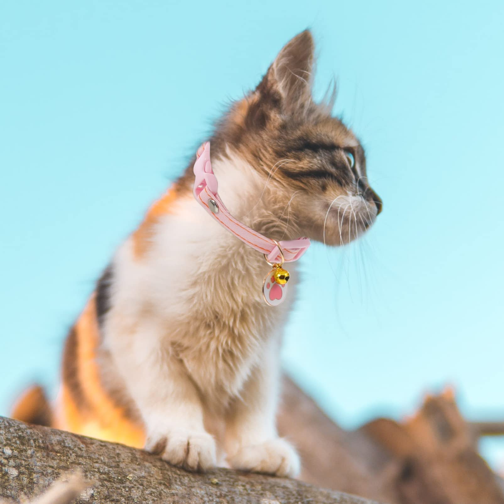 VANZACK 12pezzi Collare Per Gatti Regolabile Con Campanellino e Pendenti Colorati Collari Con Design Adorabile Per Gatti e Gattini Sicuro e Confortevole