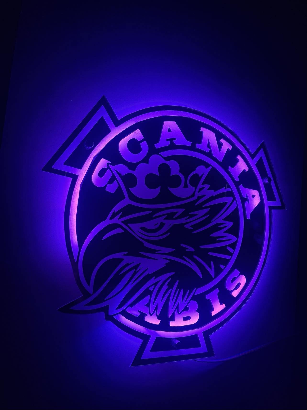 Scania Targa LED 50x50 cm - Accessorio Con Potenza Luminosa Regolabile - Targa LED Posteriore Greif