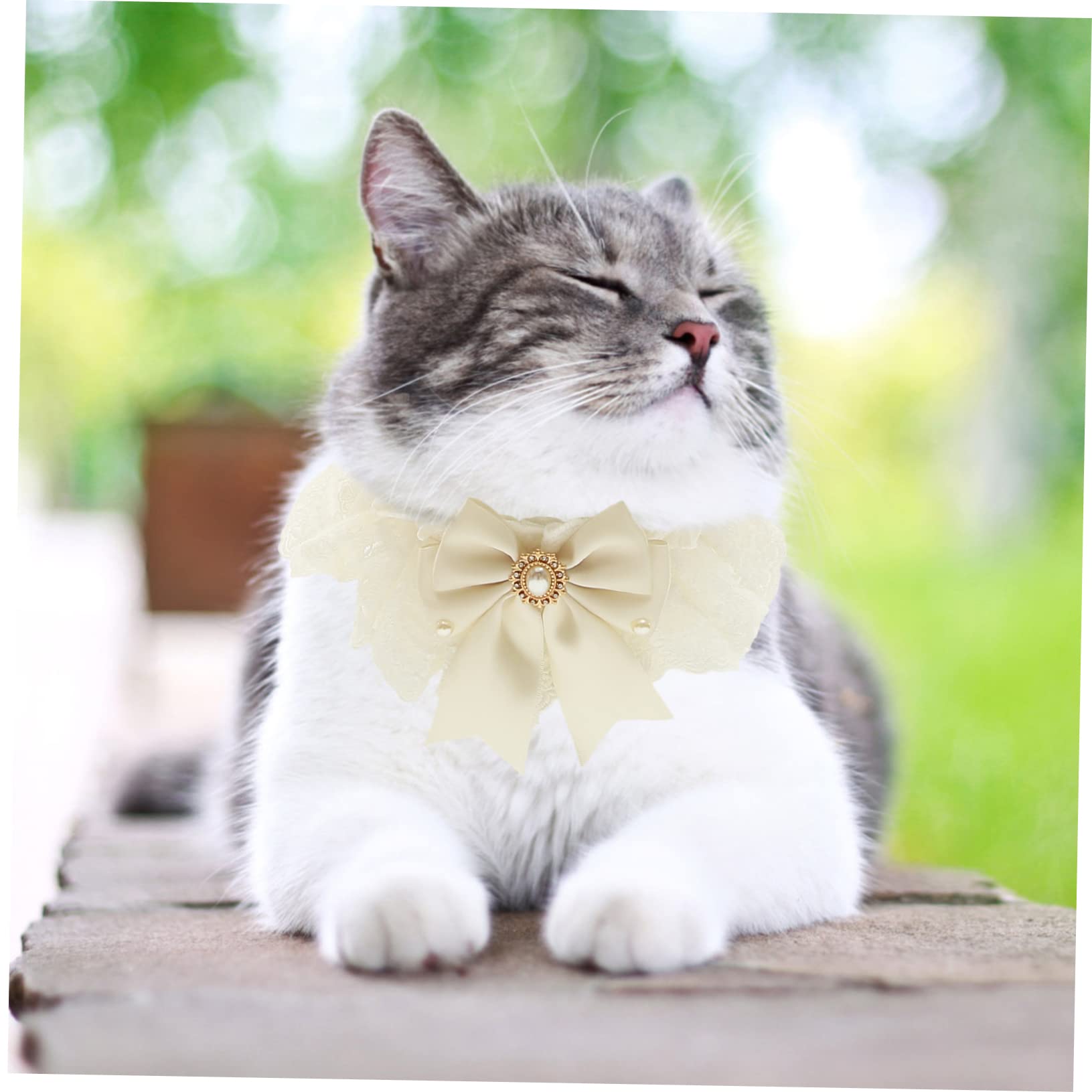 YARNOW 5 Pièces Écharpe De Mariage pour Animaux De Compagnie Collier De Chaton Cravate pour Animaux De Compagnie Chat Dentelle Noeud Collier Bandana pour Chiens De Chat avec Nœud
