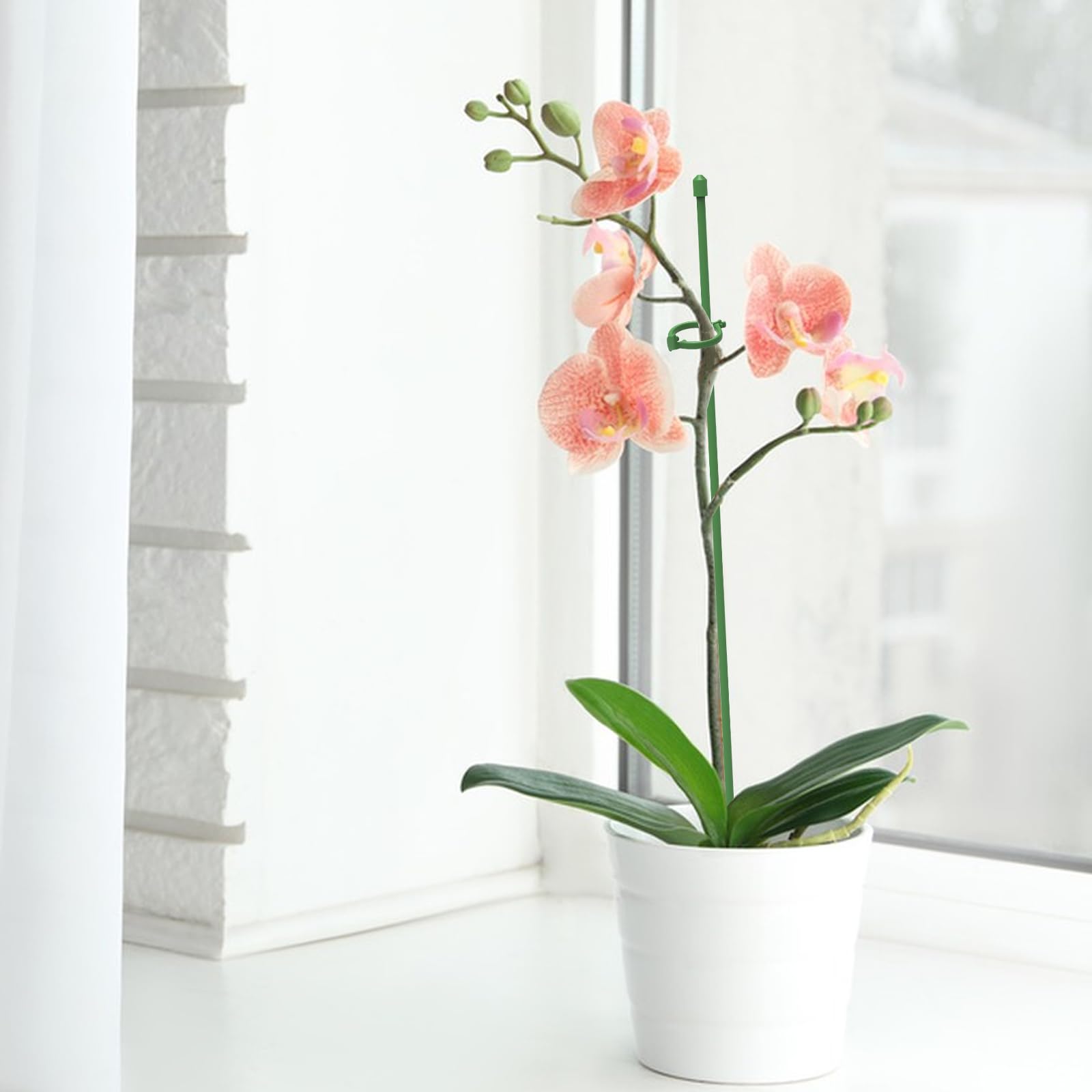 Tuteurs Pour Plantes Intérieur/extérieur - 35 Pièces Avec Clips Et Tubes D'extension Pour Orchidées, Tomates, Etc.