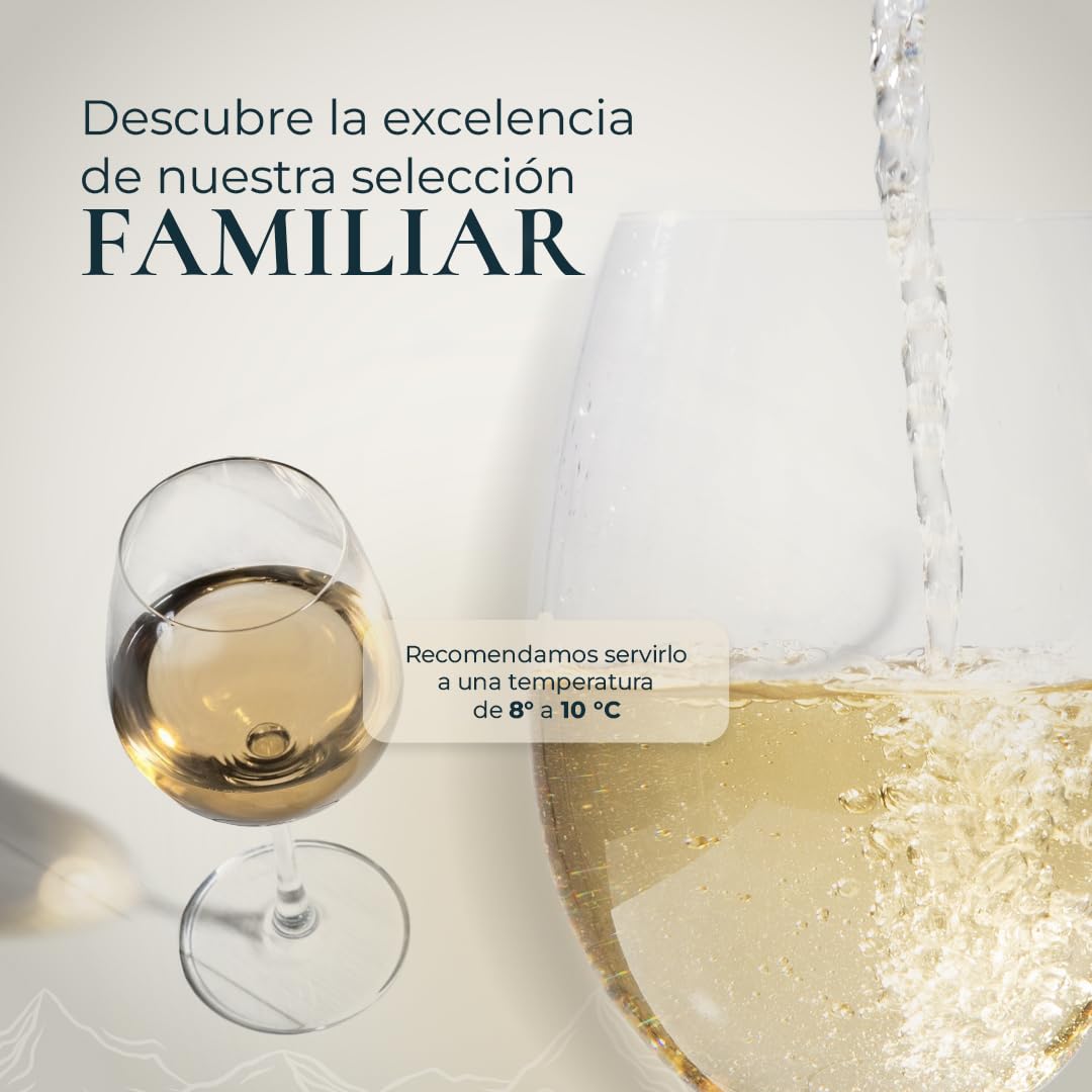 Aitako 2024 – Vino Blanco D.O. Getariako Txakolina – Selección Especial de Viñedos Viejos – 6 Botellas 75cl – Fresco, Mineral y Elegante – Edición Limitada Ideal para Mariscos,Gaintza txakolina
