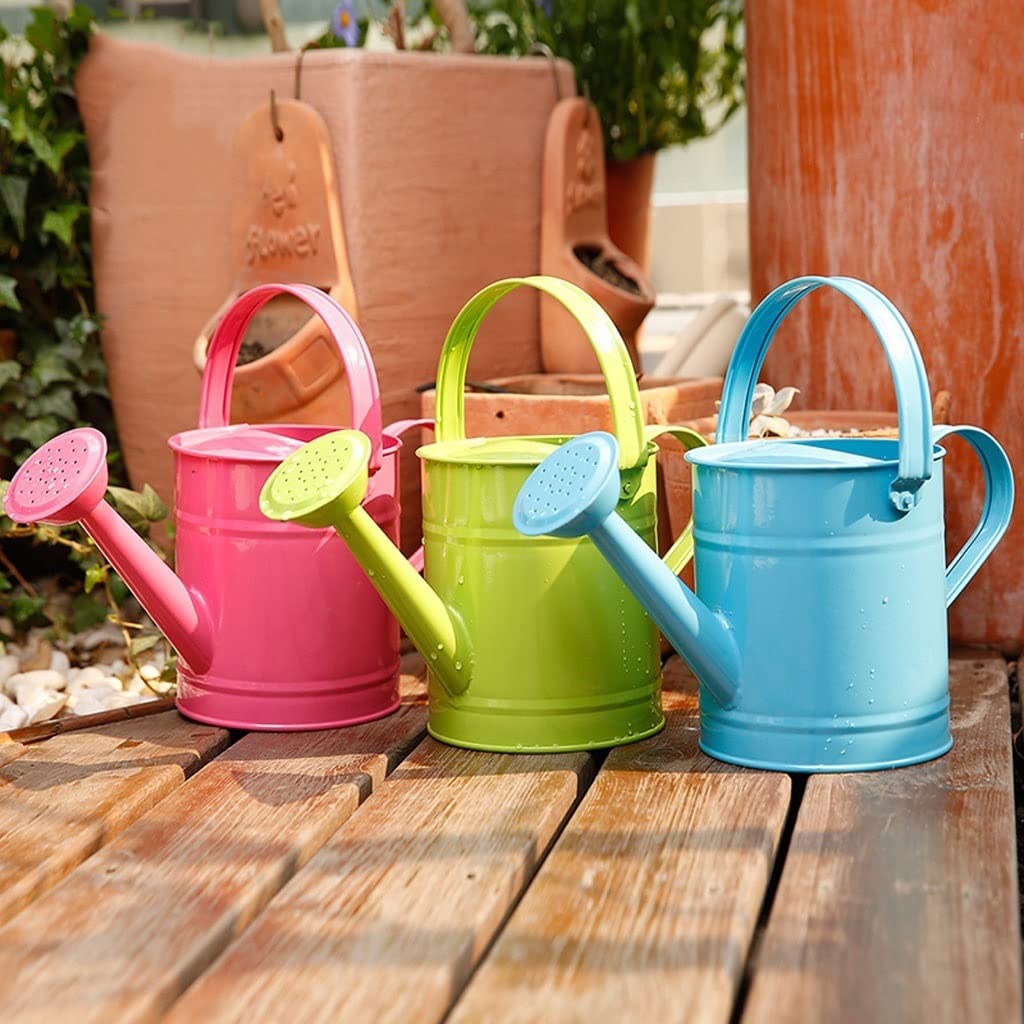 Regadera Familia De La Planta Verde Flor Vierte La Botella De Aerosol De Hierro De La Olla De Agua, 1.5L Regadera Puede Gran Capacidad Regadera para Exterior(C)