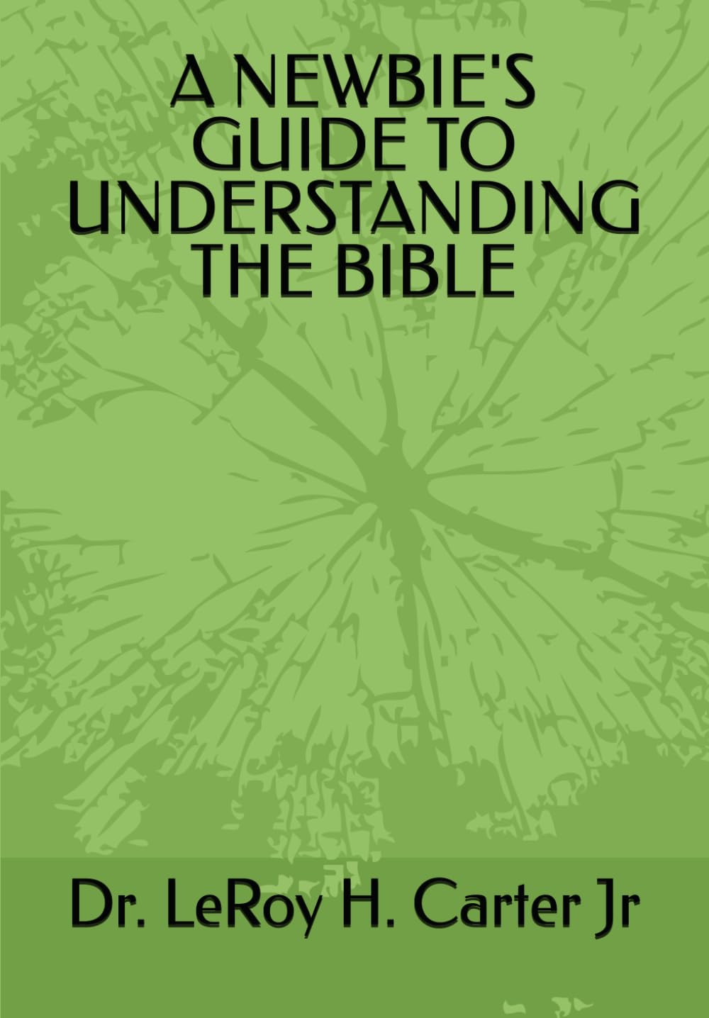 A NEWBIE'S GUIDE TO UNDERSTANDING THE BIBLE