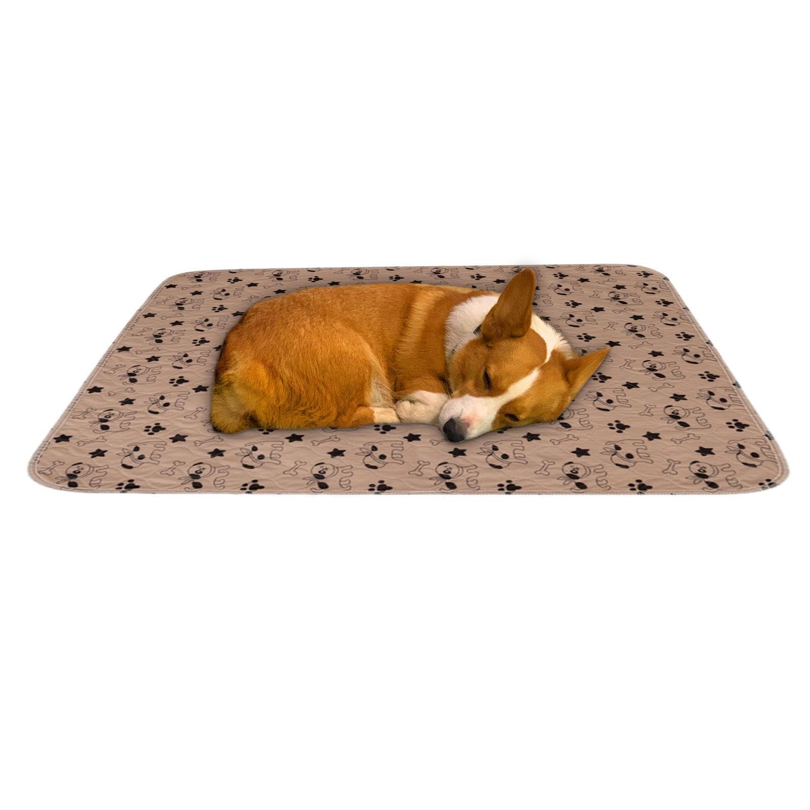 Tappetino Per Cuccioli Lavabile E Impermeabile – 168x125 Cm, Antiscivolo, Assorbimento Rapido, Riutilizzabile Per Cani E Gatti