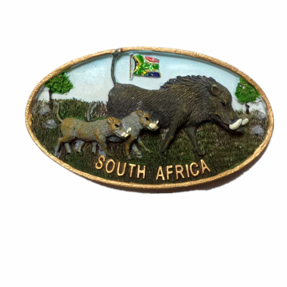 3D South Africa souvenir fridge magnet,Home & kitchen decoration polyresin craft,South Africa refrigerator magnet sticker