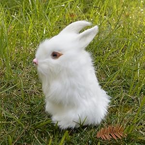 Packof2easterrabbitsfigurinesminifurrybunniesforbasketbabyshowerkidsnewbornphotographprophomeshelfdeskdecorativestatuewhite Urban Country Home Decor Pack of 2 easter rabbits figurines mini furry bunnies for basketbaby shower kids newbornphotograph prophome shelf desk decorative statue white urban country home decor
