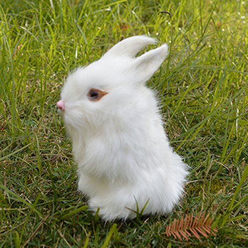 Packof2easterrabbitsfigurinesminifurrybunniesforbasketbabyshowerkidsnewbornphotographprophomeshelfdeskdecorativestatuewhite Urban Country Home Decor Pack of 2 easter rabbits figurines mini furry bunnies for basketbaby shower kids newbornphotograph prophome shelf desk decorative statue white urban country home decor