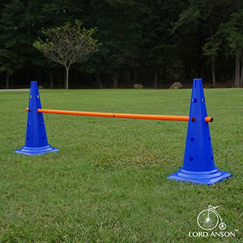 Lord Anson™ Dog Agility Hurdle Cone Set - Canine Agility Training Set - Obedience, Agility, And Rehabilitation - 8 Agility Cones And 4 Agility Rods #TOP4