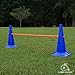 Lord Anson Dog Agility Hurdle Cone Set - 8 Cones & 4 Rods - Adjustable, Versatile, Heavy Duty - Agility, Obedience, Rehabilitation