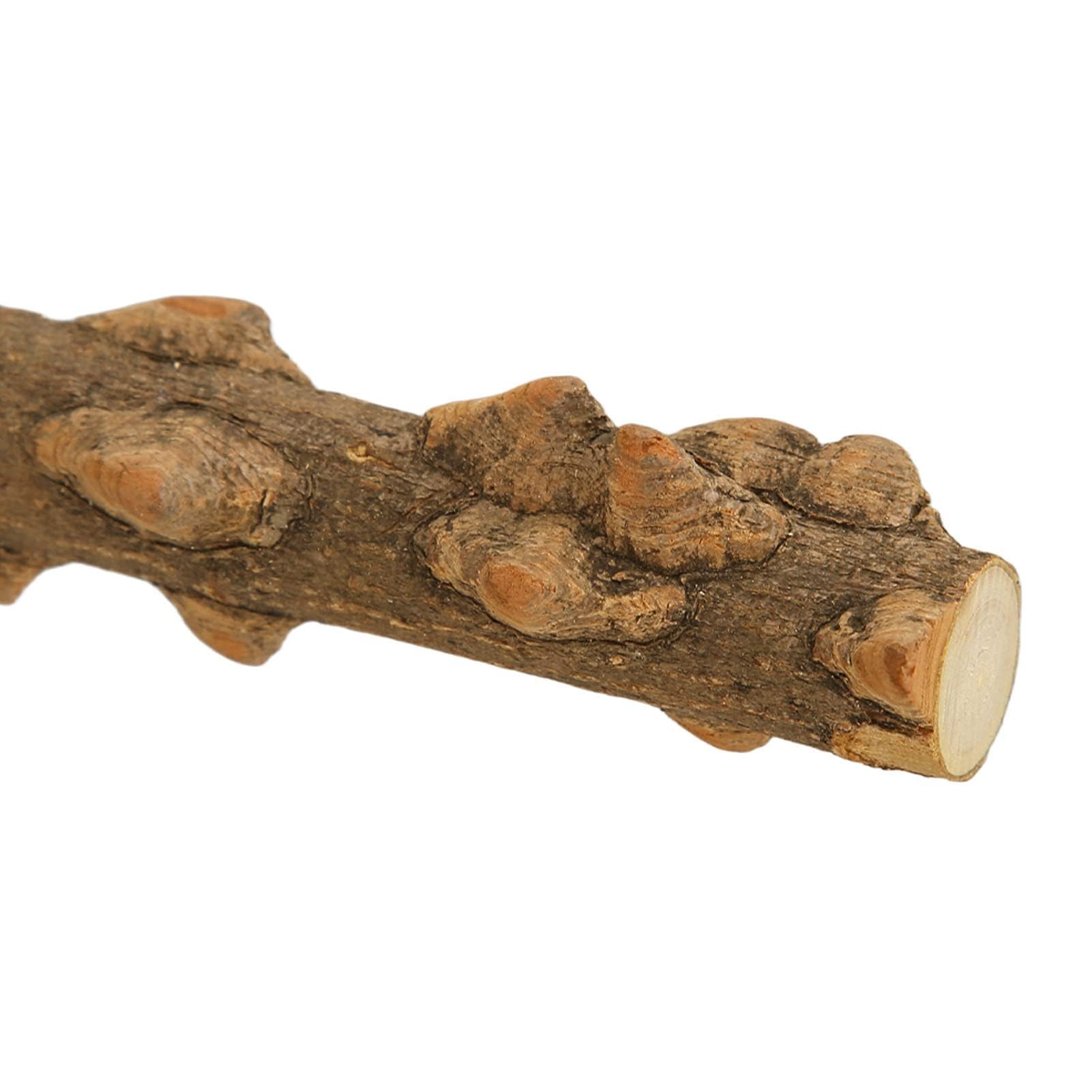 Supporto da Terra Regolabile in Altezza per Uccelli, Posatoio e Gioco per Pappagalli, Parrocchetti, Calopsite, Ara, Fringuelli, Inseparabili