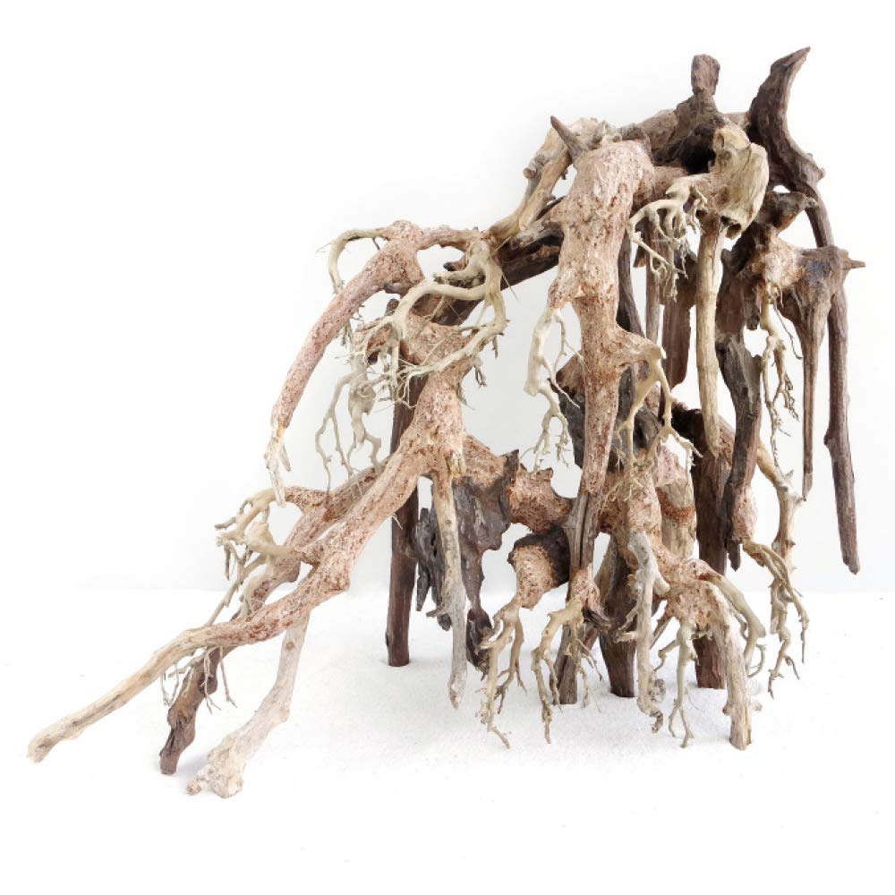 Bois fait main Amtra Oriental Wind 1 racine naturelle de 22 cm