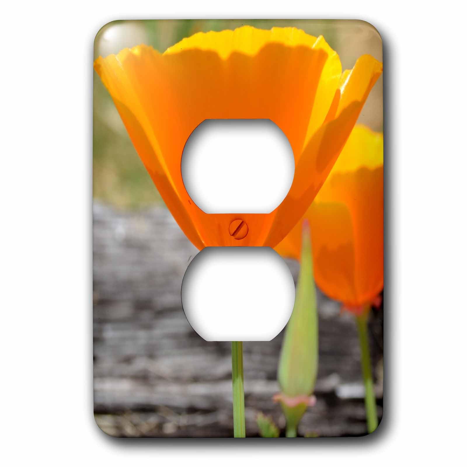 Plaque pour 2 prises de prise California Coquelicot Ii 3dRose lsp_22957_6