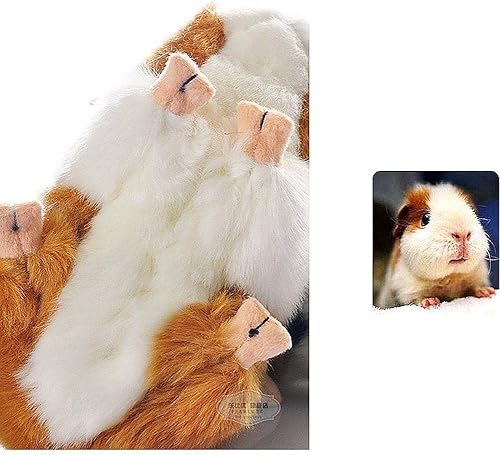 Miniatura 4 de RemeeHi Juguete de peluche de conejillo de indias marrón de 7 pulgadas, suave y lindo juguete de peluche regalo para niños (amarillo y blanco)