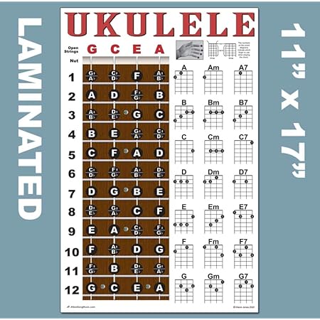 Amazon Com Laminated Ukulele Fretboard Notes Easy Beginner Chord Chart 11 X17 Instructional Poster For Soprano Concert Tenor Uke By A New Song Music Musical Instruments
