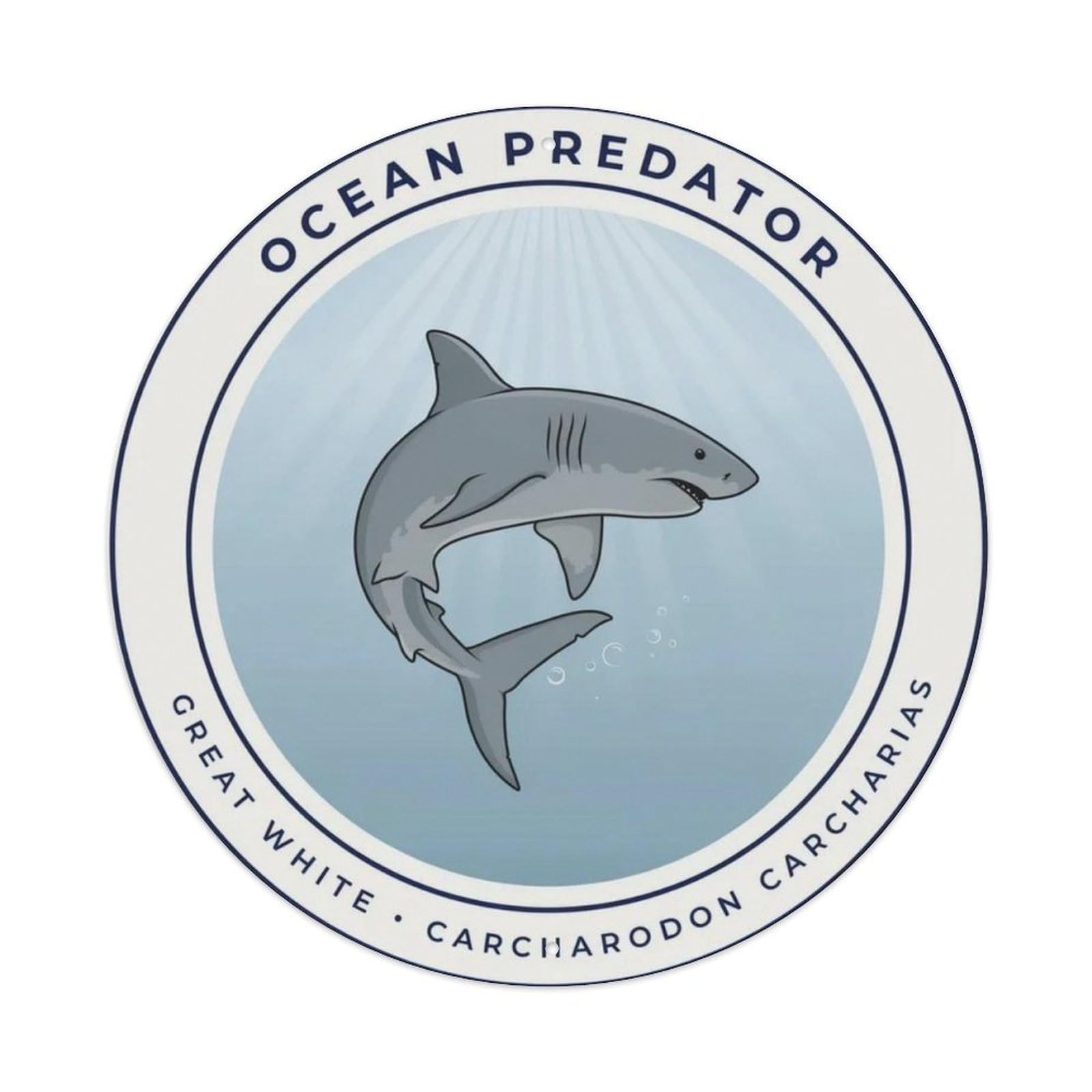 Shark Week Every Week Metal Tin Sign Plaque