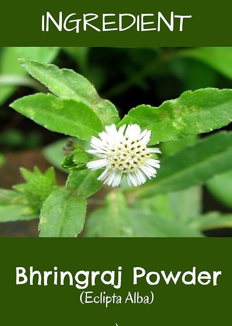 VK 100% Pure Bhringraj Pow.der | for Hair | Natural Hair Care | No Added Chemicals, 100 Grams