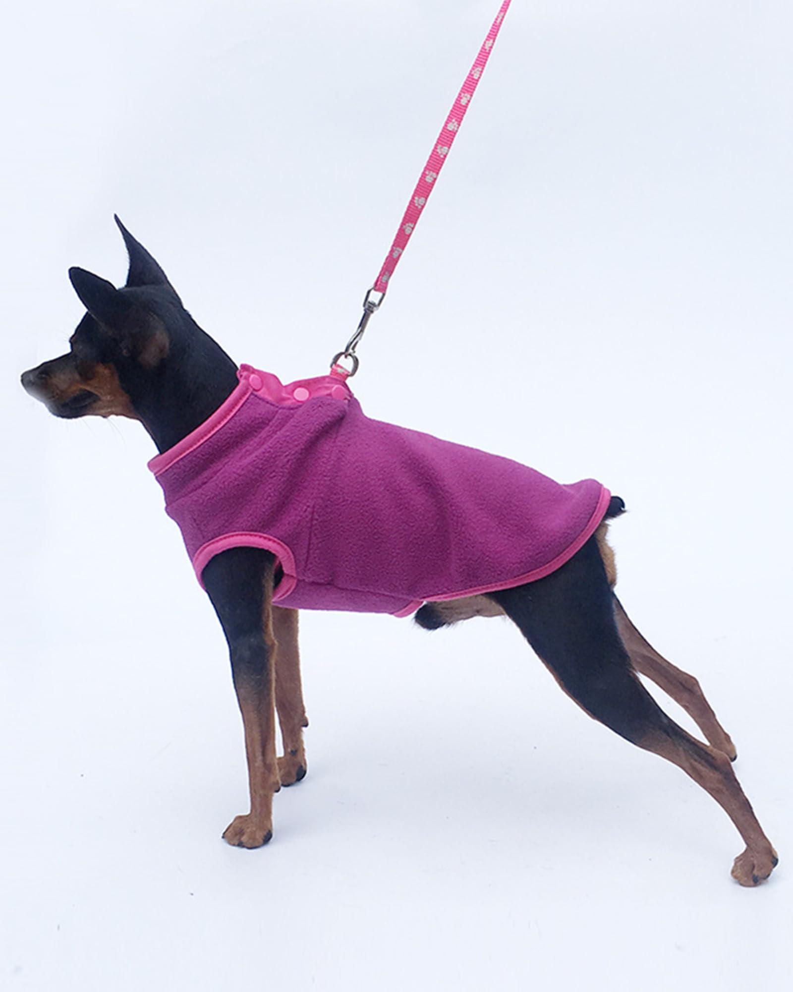 MeiAOBest Pet Clothes, Dog Cold Weather Coat Warm Dog Jumper Soft Fleece Vest Jacket Pullover Costume for Puppies Small Dogs_S(Purple) โ image 1