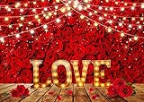 LYCGS 8X6ft Valentine's Day Backdrop - Red Vinyl, Seamless, Tearproof - Suitable for Birthday, Wedding, Baby Shower, Theme Party - X-95