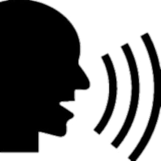 Speech-to-Text Converter