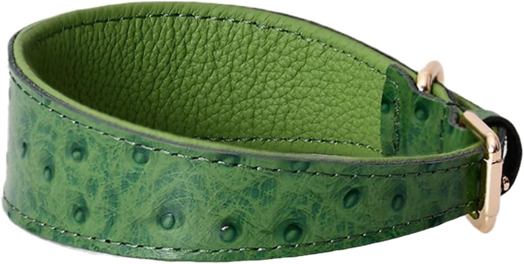 Collier pour chien de grande taille en cuir vert design unique et résistant