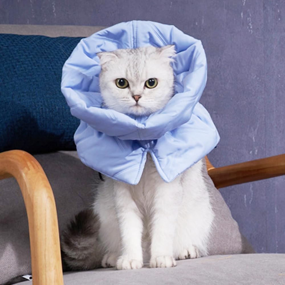MiOYOOW Collare di protezione per gatto, morbido e regolabile, per gatti, anti-morso, collare per gatti, anti-graffio, comodo per media/grande gatto e cuccioli, blu