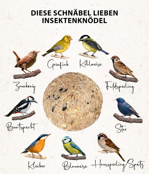 Dehner Natura Premium Meisenknödel ohne Netz, Insektenknödel, ganzjähriges Wildvogelfutter proteinreich / energiereich, 100 Stück je 90 g (9 kg), Karton aus FSC-zertifizierter Produktion