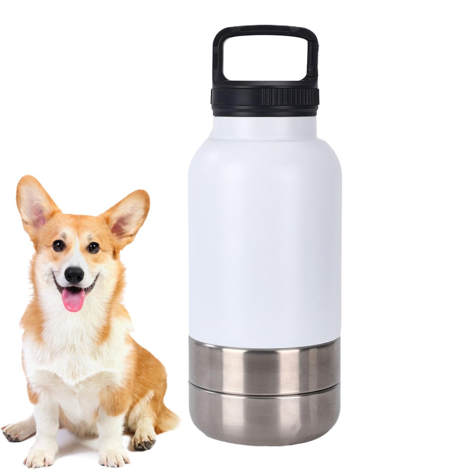 Borraccia Da Viaggio Cani Dispenser D'Acqua Portatile Da 1,52 L Per Cani | Borraccia In Acciaio Inossidabile Da Cuccioli Per Escursioni Campeggio Picnic All'Aperto Passeggiate Dormitorio Appartame