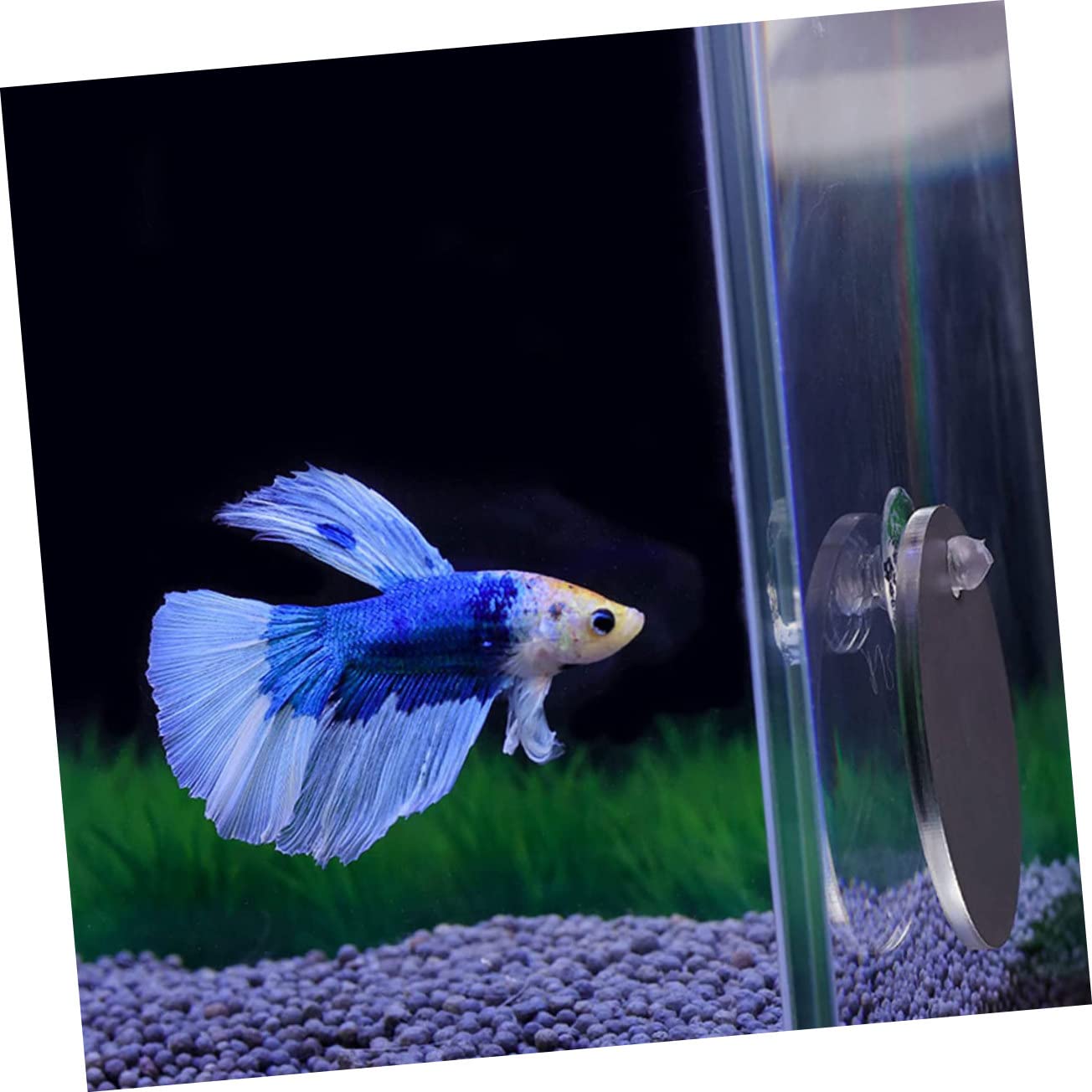 2 Pack Betta Training Mirror – Floating Exercise Mirror For Fish Tank, Fun Aquarium Decor, Safe PVC Material, Easy Installation