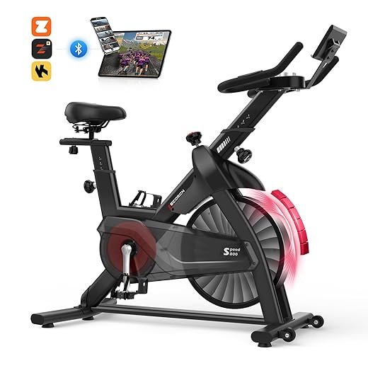 Decorcn Home Magnetic Spin Bike