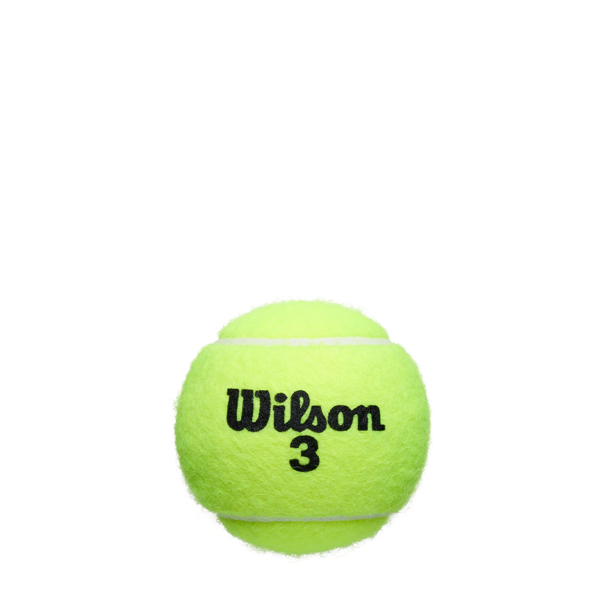 Wilson Roland Garros Tennis Balls 3 Ball Can