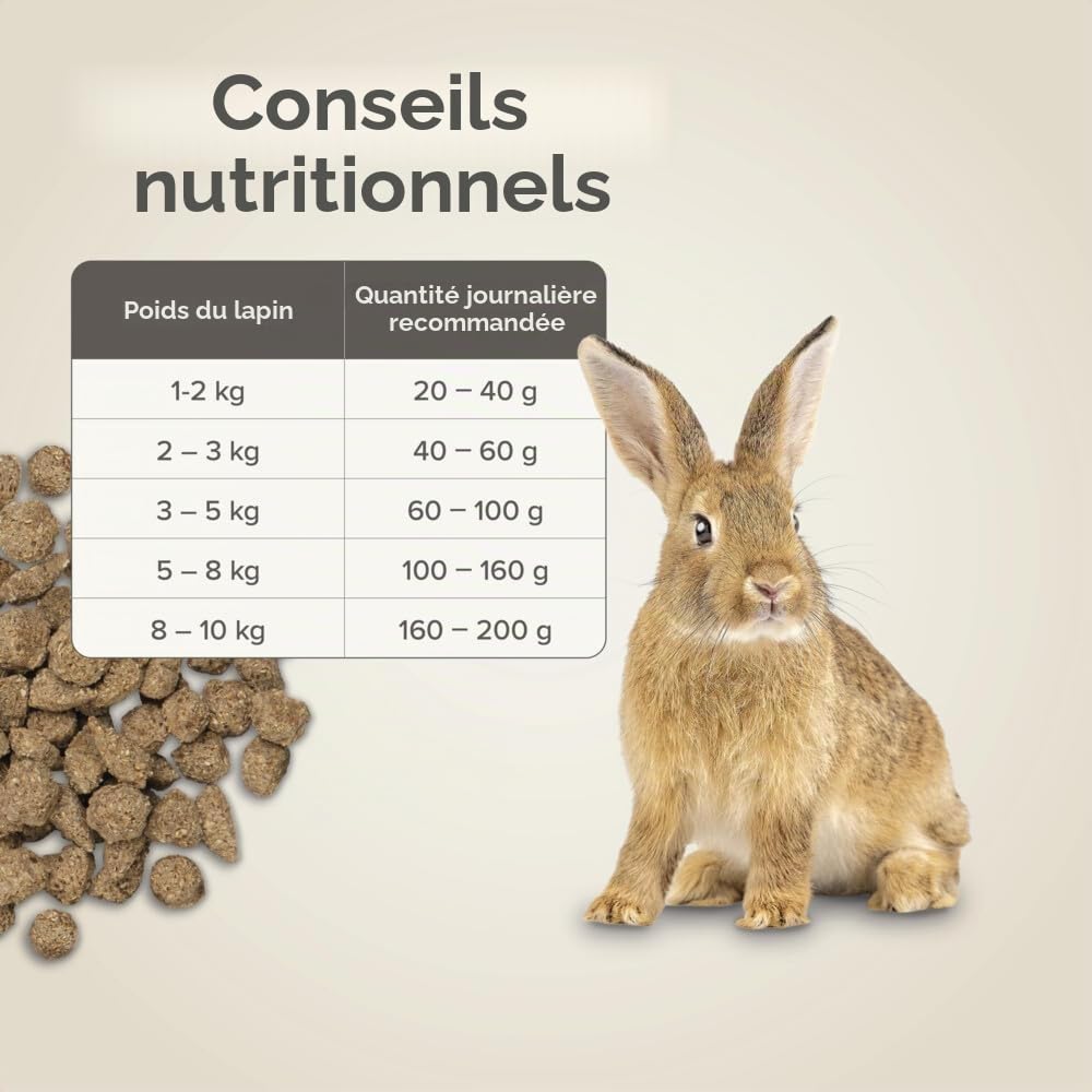 BEAPHAR – CARE+ – Alimentation Super Premium extrudée pour lapin junior – 25% de fibres – Appétent, sans sucre ajouté ni colorant – Haute digestibilité – Participe à l’usure naturelle de dents – 10 kg