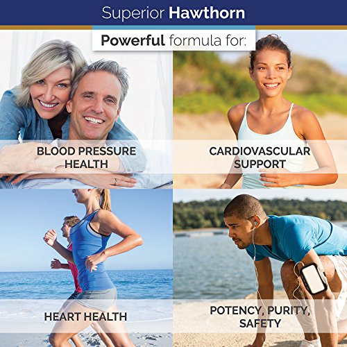 Superior Labs — Best Hawthorn Vitamin Supplement Nongmo, Non Synthetic — 300 Mg Dosage, 120 Vegetable Capsules — Powerful Antioxidant — Healthy Digestion — Circulatory & Cardiovascular Health #TOP4