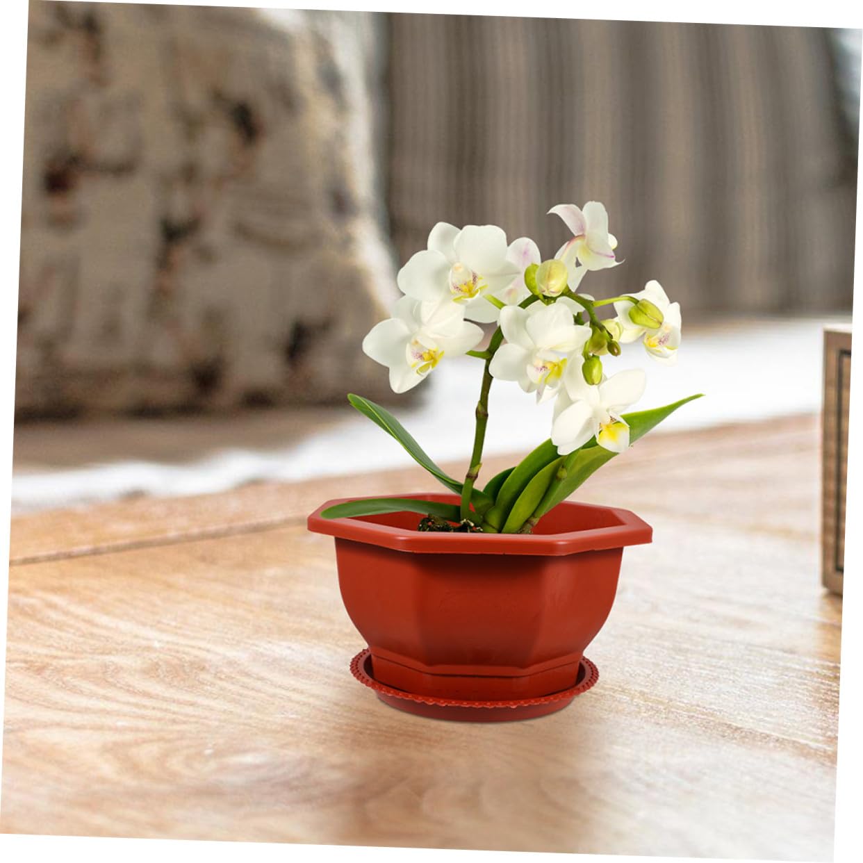Hemobllo Lot de 5 Pots Octogonaux Rouges pour Plantes Succulentes en Plastique PP Épaissi, Réutilisables, Faciles d'entretien, Adaptés Intérieur et Extérieur