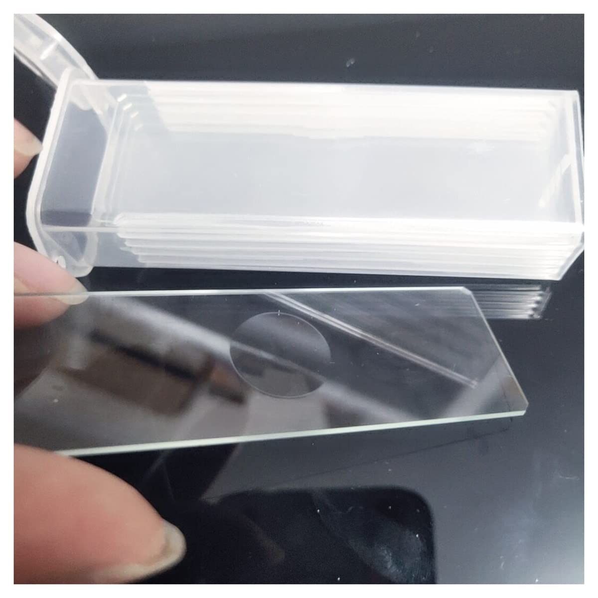 5 Vetrini Microscopio Concavi - 25,4x76,2 Mm, Per Laboratorio E Scuola, Riutilizzabili - Foto 12