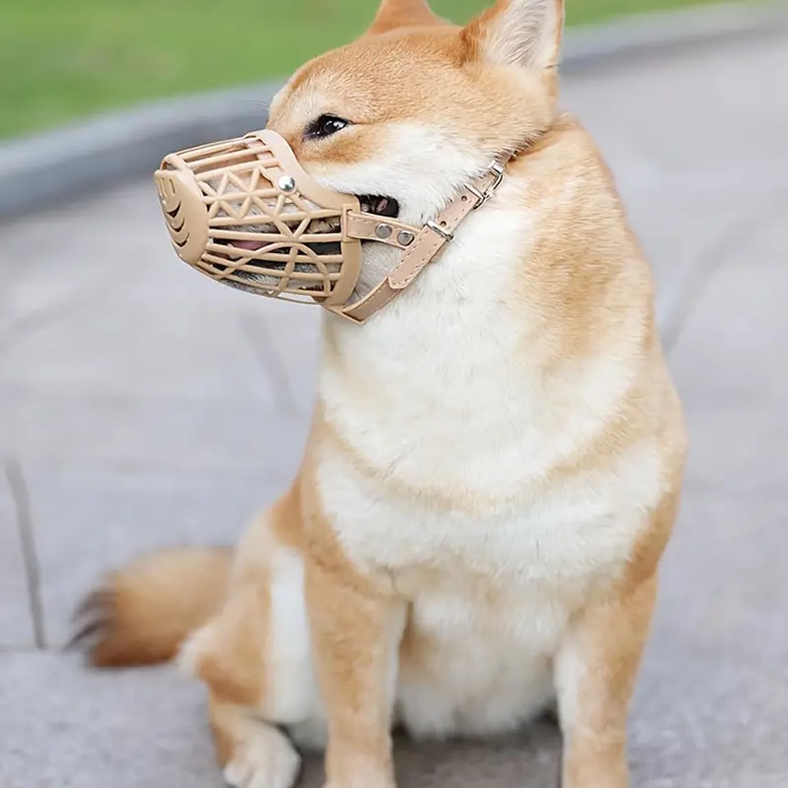 RvPaws Dogs Mouth Cover muzzles AntiBiting Soft Plastic Dog Muzzle