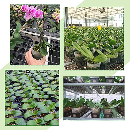 Plastic Nursery Pots - 36 Pieces 7 / 5 / 4 Inch Soft Transparent Plastic Gardening Pot Planting With Drainage Hole For Seedling Succulent Vegetable Flowers Cuttings #TOP5