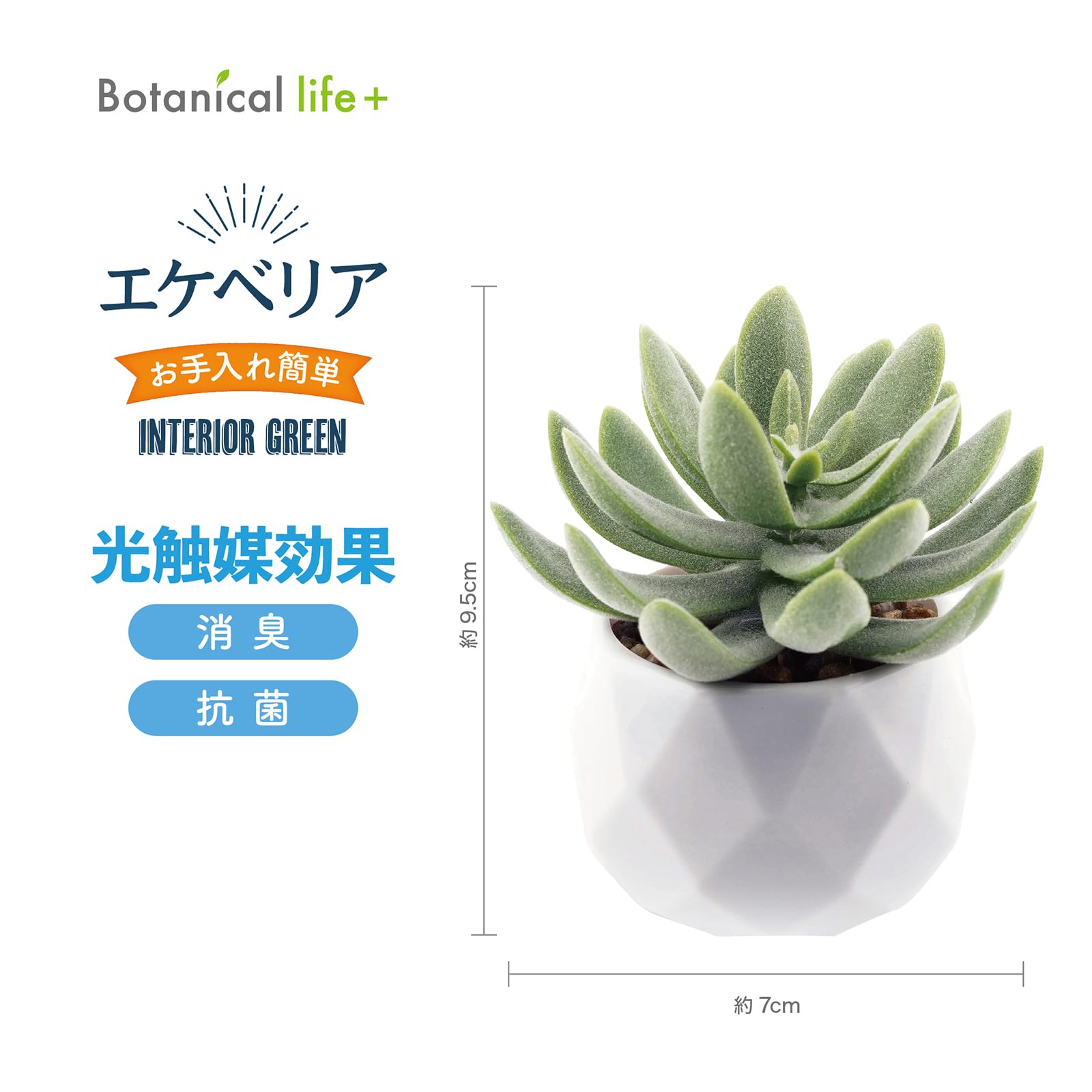 Amazon｜Botanical life+ フェイクグリーン ミニ 卓上 光触媒 多肉植物