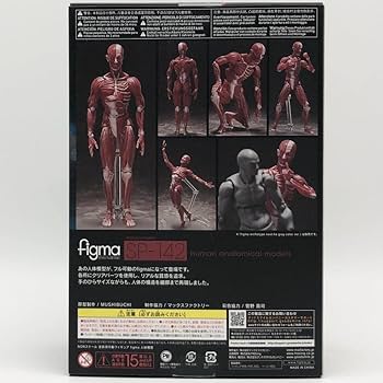 figma(フィグマ) SP-142 人体模型(じんたいもけい) 完成品 可動フィギュア FREEing(フリーイング) figma(フィグマ) SP-142 人体模型(じんたいもけい) 完成品 可動