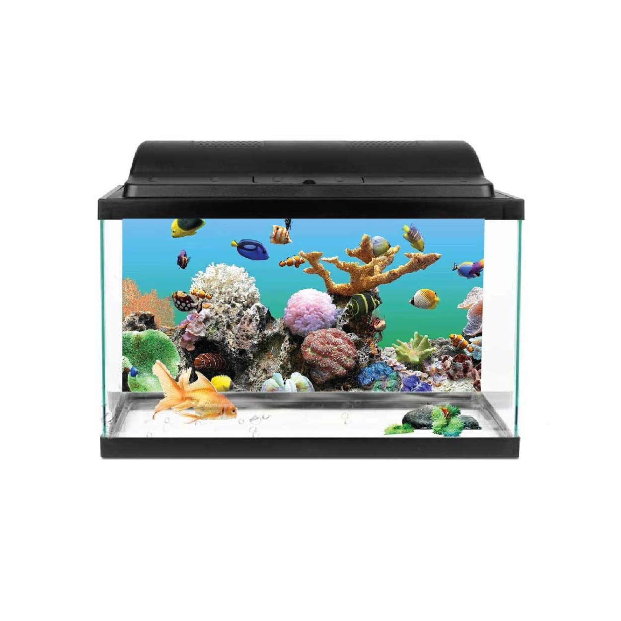 VVWV® Fish Tank Background Stickers for Acquarium Waterproof Vinyl Printed Multicolored Sticker (76 X 46 CMS) (B0BWFD5RDN) Amazon Price History, Amazon Price Tracker