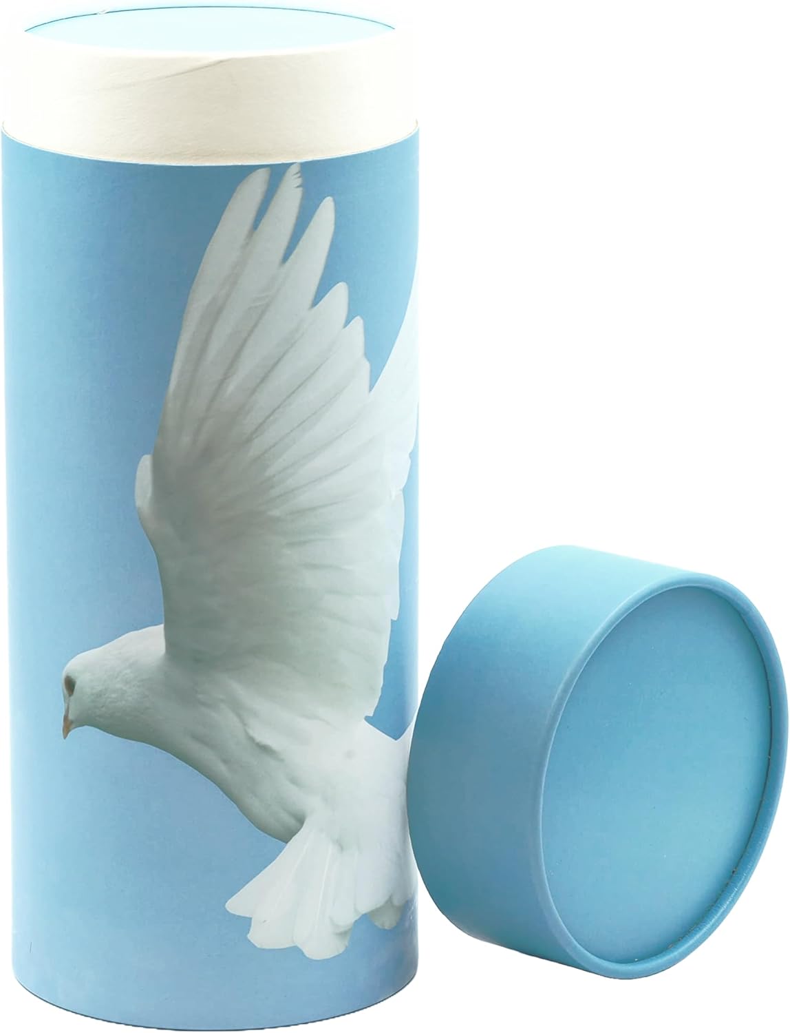 Casket Depot Memorial Collection Scattering Tube, Biodegradable Urn for Scattering Ashes, Eco Urn: Dove (Large Adult)