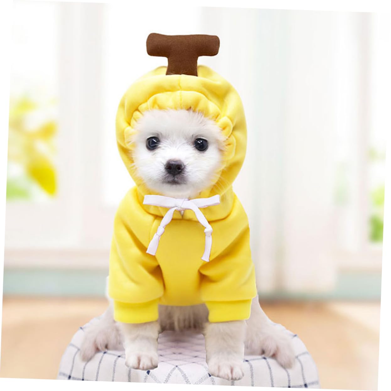 POPETPOP 4 Pezzi Adorabile Cucciolo Maglione-maglietta Cane Calore Vestiti Festa Cane Vestito Abbigliamento Per Animali Domestici