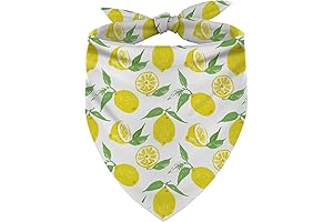 Summer Fruit Lemon Yellow Lemonade Puppy Dog Collar Scarf