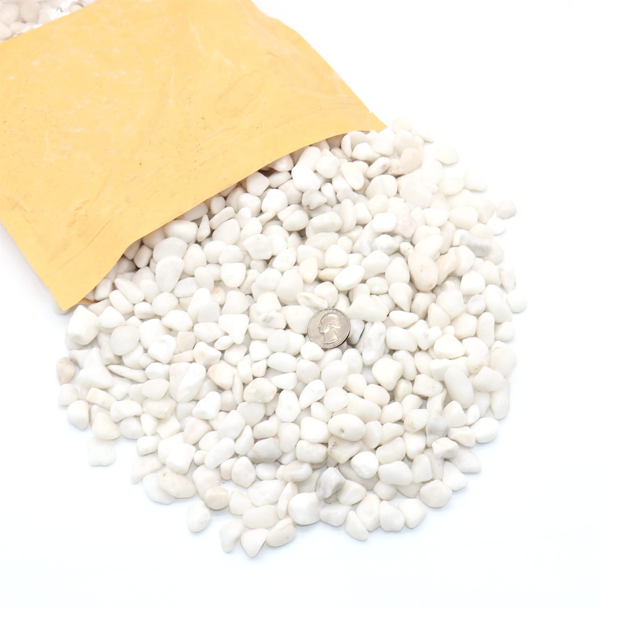 Rocas blancas para plantas. Guijarros pulidos decorativos blancos de 3/8 pulgadas - 10 libras para plantas, jardín, paisajismo, suculentas, macetas, plantas (XSM (0.375 pulgadas),